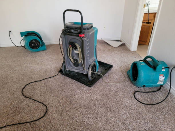 Best Water damage restoration company  in Highgrove, CA