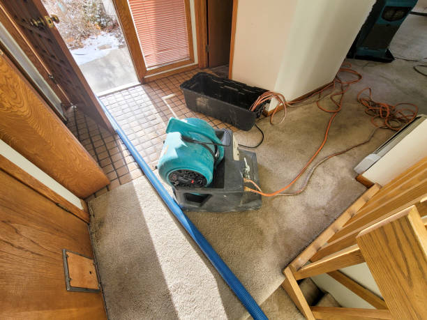 Best Water damage cleanup near me  in Highgrove, CA