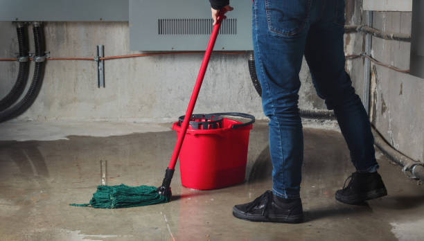 Best Water damage contractors near me  in Highgrove, CA